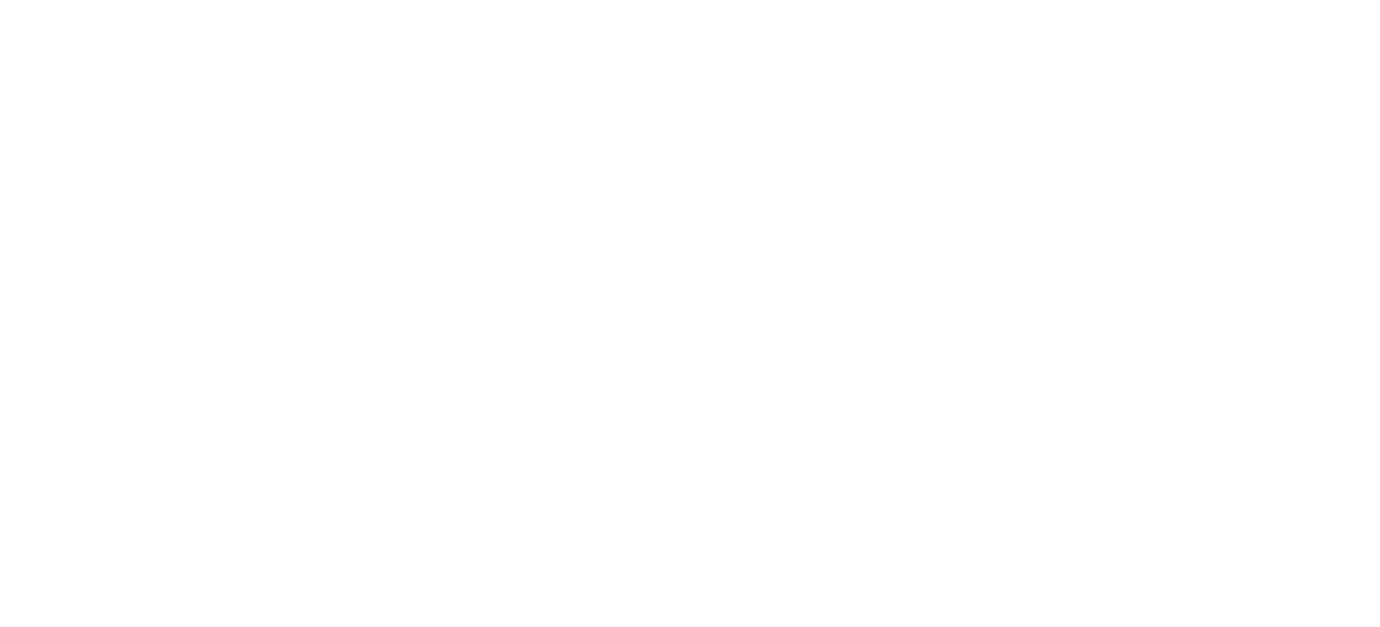 VeEX Inc.